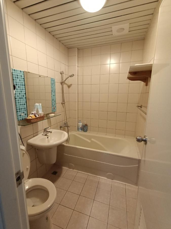 水里河堤咖啡民宿 Shuili Heti Coffee B&B エクステリア 写真